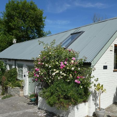 The Garden Room Dundon Εξωτερικό φωτογραφία